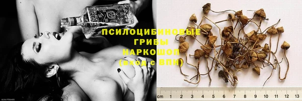 экстази Горняк