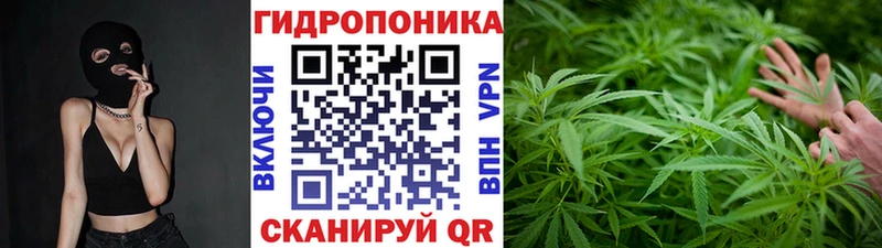 Бошки Шишки гибрид Задонск